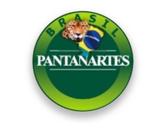 Pantanartes