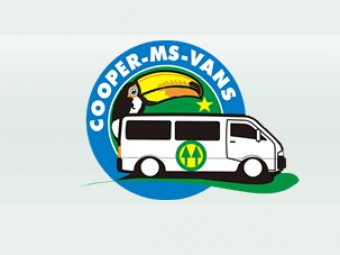 Cooper ms vans