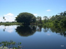 Pantanal por Frederico Valente