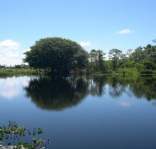 Pantanal por Frederico Valente